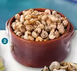 Intermarché Caracol Médio Vivo promoção