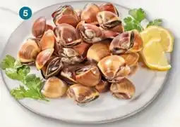 Intermarché Ameijoa-vietnamita castanha Congelada promoção