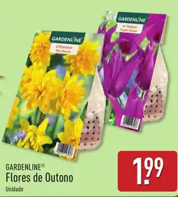 ALDI Gardenline flores de outono promoção