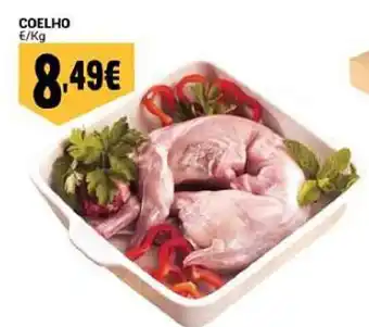 Neomáquina Coelho promoção