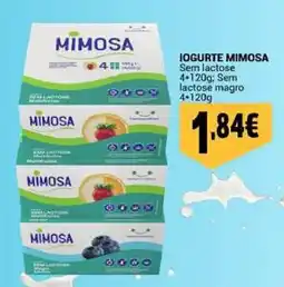Neomáquina Iogurte mimosa promoção
