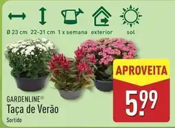 ALDI A+ - taça de verão promoção