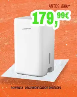 Expert Rowenta desumidificador DH5250F0 promoção