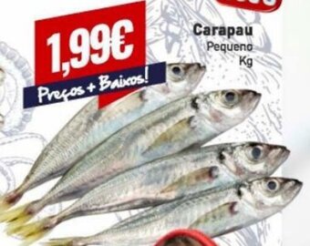 Carapau Pequeno