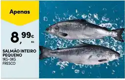 Continente Salmão inteiro pequeno promoção