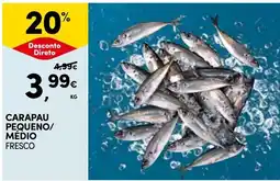Continente Carapau pequeno/ médio fresco promoção