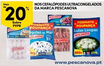 Continente Cefalópodes ultracongelados pescanova promoção