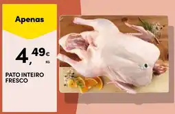 Continente Pato inteiro fresco promoção