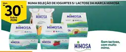 Continente Iogurtes s/ lactose da marca mimosa promoção