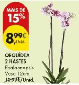Pingo Doce Orquídea 2 Hastes promoção