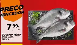 Continente Dourada média promoção