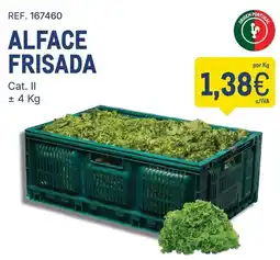 Makro Alface frisada promoção
