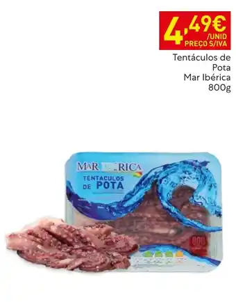 Tentáculos de pota mar ibérica