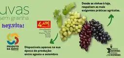 Recheio Uvas sem grainha hey,vita! promoção