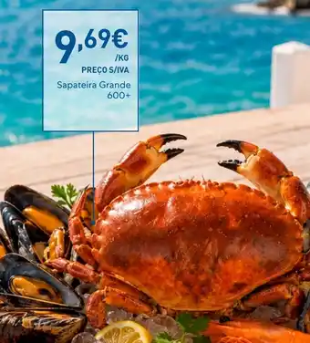 Recheio Sapateira Grande promoção