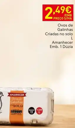 Recheio Ovos de Galinhas Amanhecer promoção