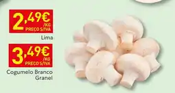 Recheio Cogumelo Branco Granel promoção