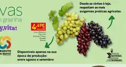 Recheio Uva s/Grainha Hey Vita promoção
