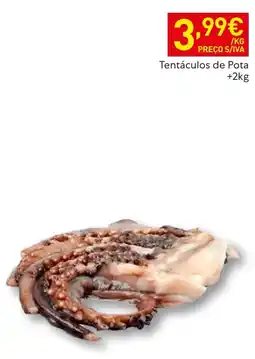 Recheio Tentáculos de Pota promoção