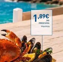Recheio Mexilhao promoção