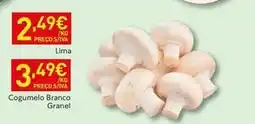 Recheio Lima - cogumelo branco promoção