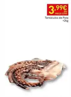Recheio Tentáculos de pota promoção