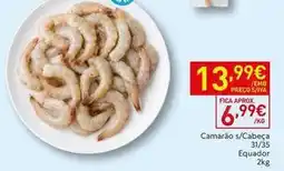Recheio Camarão s/cabeça promoção