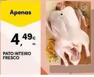 Continente Bom dia Pato - inteiro fresco promoção