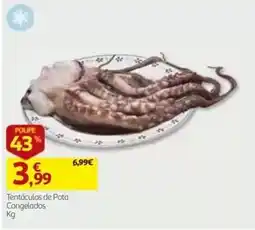 Auchan Tentáculos de Pota Congelados promoção