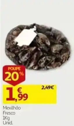 Auchan Mexilhão Fresco promoção
