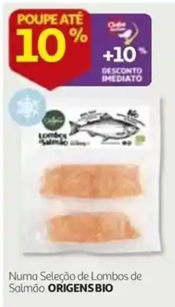 Auchan Lombos de Salmão ORIGENS BIO promoção