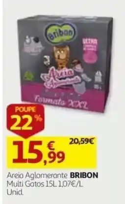 Auchan Areia Aglomerante BRIBON promoção