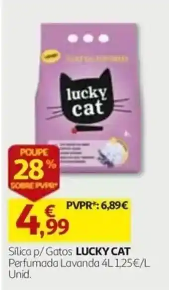 Auchan Silica p/ Gatos LUCKY CAT promoção