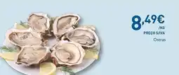 Recheio Ostras promoção
