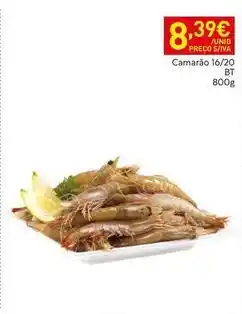 Recheio Camarão 16/20 promoção