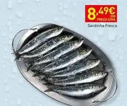 Recheio Sardinha fresca promoção