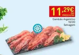 Recheio Gambão argentino 10/20 promoção