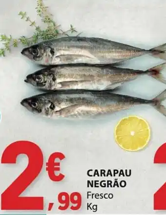 Carapau negrão fresco