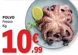 E.Leclerc Polvo fresco promoção
