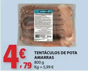 E.Leclerc tentáculos de pota amarras promoção