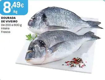 Intermarché Dourada de viveiro promoção