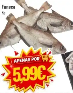 Belita Faneca promoção