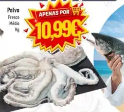 Belita Polvo Fresco Médio promoção