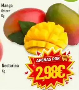 Belita Manga Osteen promoção