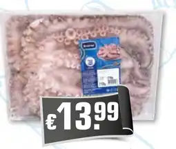 Bolama Ocean Sea polvo promoção