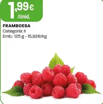 Intermarché Framboesa promoção
