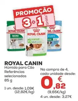 Kiwoko royal canin húmido para cão promoção