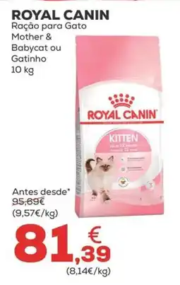 Kiwoko royal canin ração para gato mother & babycat ou gatinho promoção