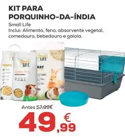 Kiwoko Kit para porquinho-da-índia small life promoção