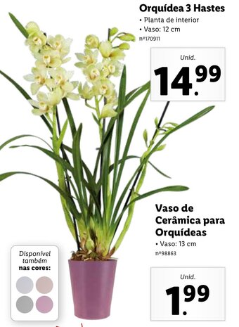 Lidl Vaso de Cerãmica para Orquídeas 13cm promoção